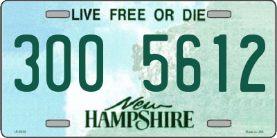 NH license plate 3005612