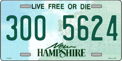 NH license plate 3005624