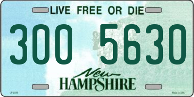 NH license plate 3005630