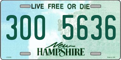 NH license plate 3005636