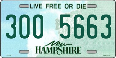 NH license plate 3005663