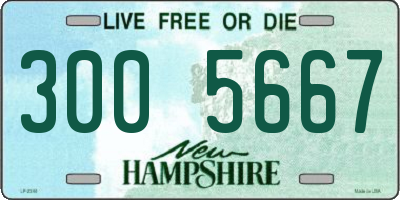 NH license plate 3005667