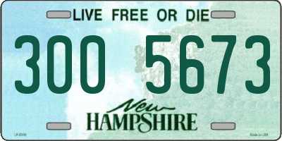 NH license plate 3005673