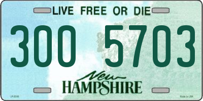 NH license plate 3005703