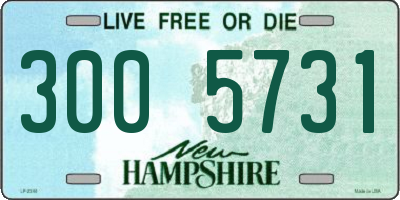 NH license plate 3005731