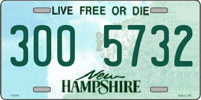NH license plate 3005732