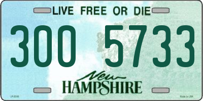 NH license plate 3005733