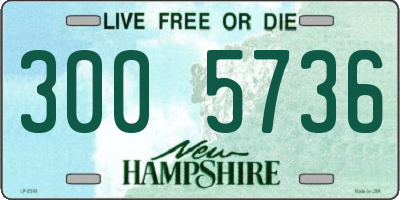 NH license plate 3005736