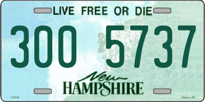 NH license plate 3005737