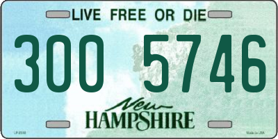 NH license plate 3005746