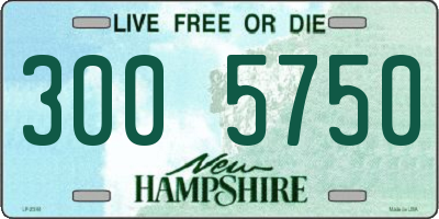 NH license plate 3005750