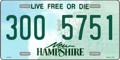 NH license plate 3005751