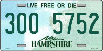 NH license plate 3005752