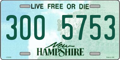 NH license plate 3005753
