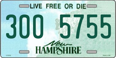 NH license plate 3005755