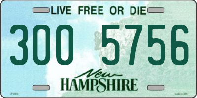NH license plate 3005756