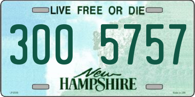 NH license plate 3005757