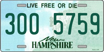 NH license plate 3005759