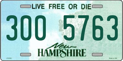 NH license plate 3005763