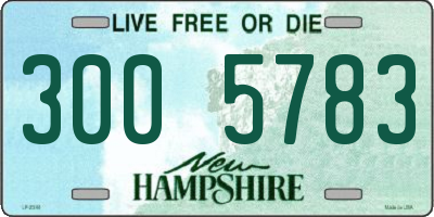 NH license plate 3005783