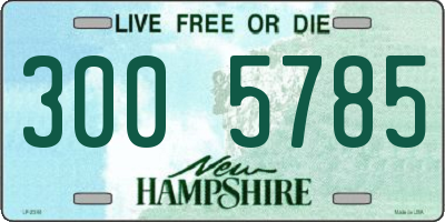 NH license plate 3005785