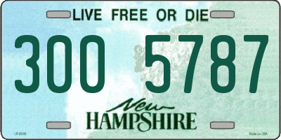 NH license plate 3005787