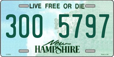 NH license plate 3005797