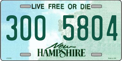 NH license plate 3005804