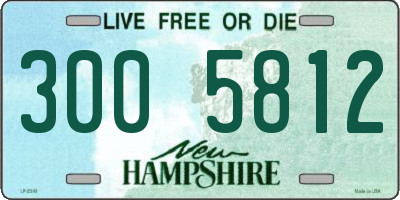 NH license plate 3005812