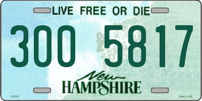 NH license plate 3005817