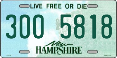 NH license plate 3005818
