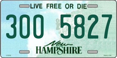 NH license plate 3005827