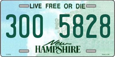NH license plate 3005828