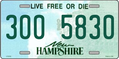 NH license plate 3005830