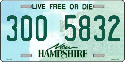 NH license plate 3005832