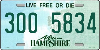 NH license plate 3005834