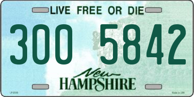 NH license plate 3005842