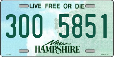 NH license plate 3005851