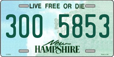 NH license plate 3005853