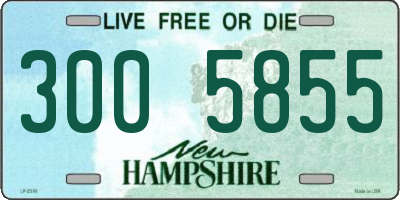 NH license plate 3005855