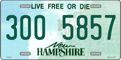 NH license plate 3005857