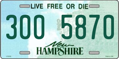 NH license plate 3005870