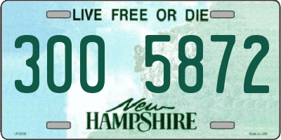 NH license plate 3005872