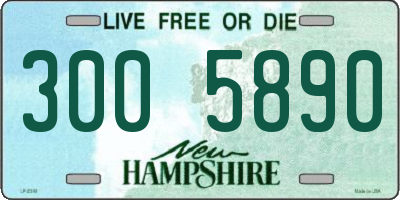 NH license plate 3005890