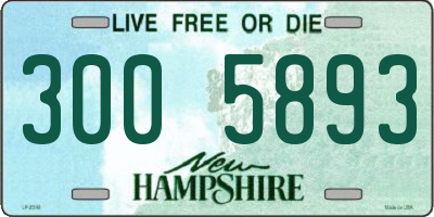 NH license plate 3005893