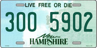 NH license plate 3005902