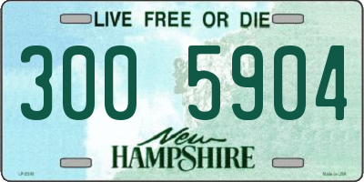 NH license plate 3005904