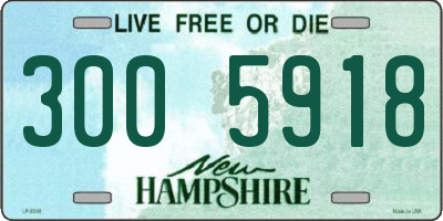 NH license plate 3005918