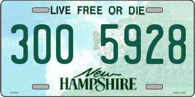NH license plate 3005928