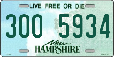 NH license plate 3005934